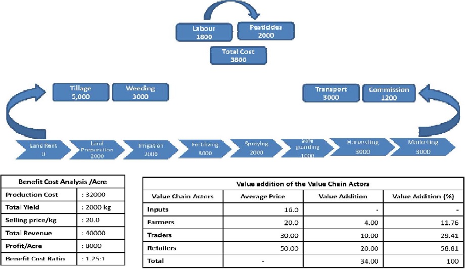 Value chain analysis of Mango cv. Alphonso (1 acre) in Dharwad, Karnataka