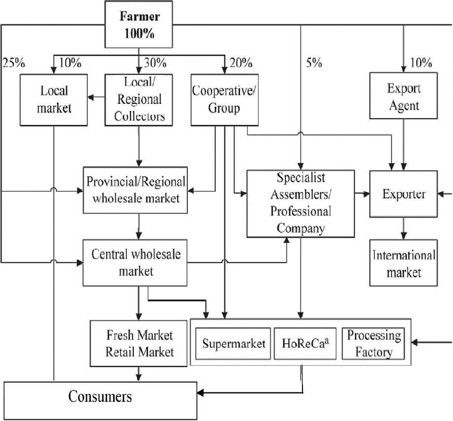 Supply chain for fruits and vegetables followed in Thailand